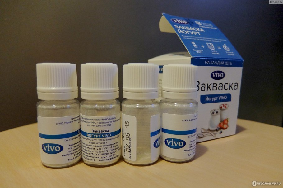 Кефирный гриб