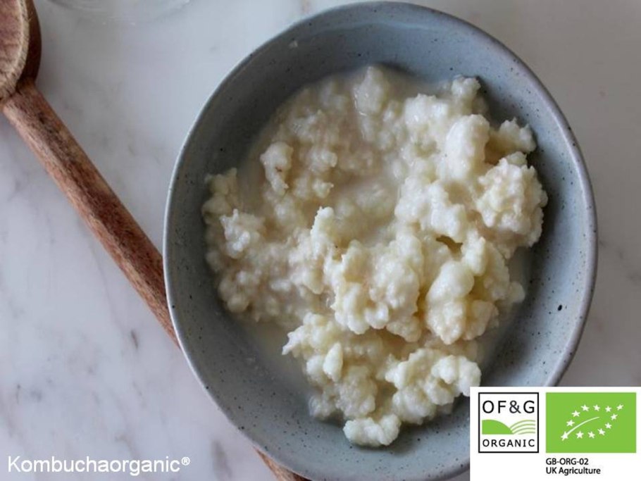 Кефирные зерна