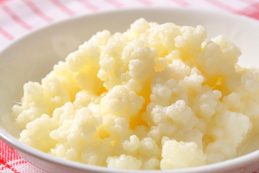 Грамположительные стрептобациллы