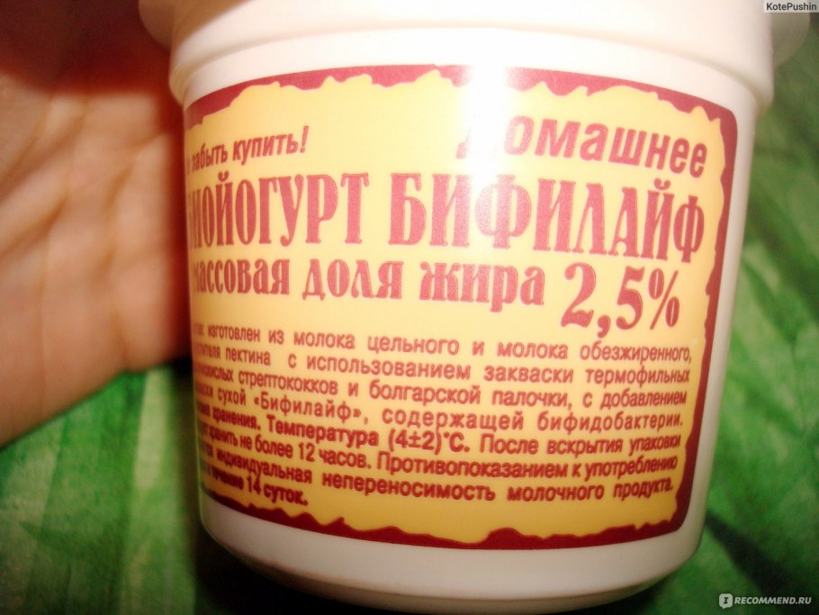 Гриб кефирный молочный