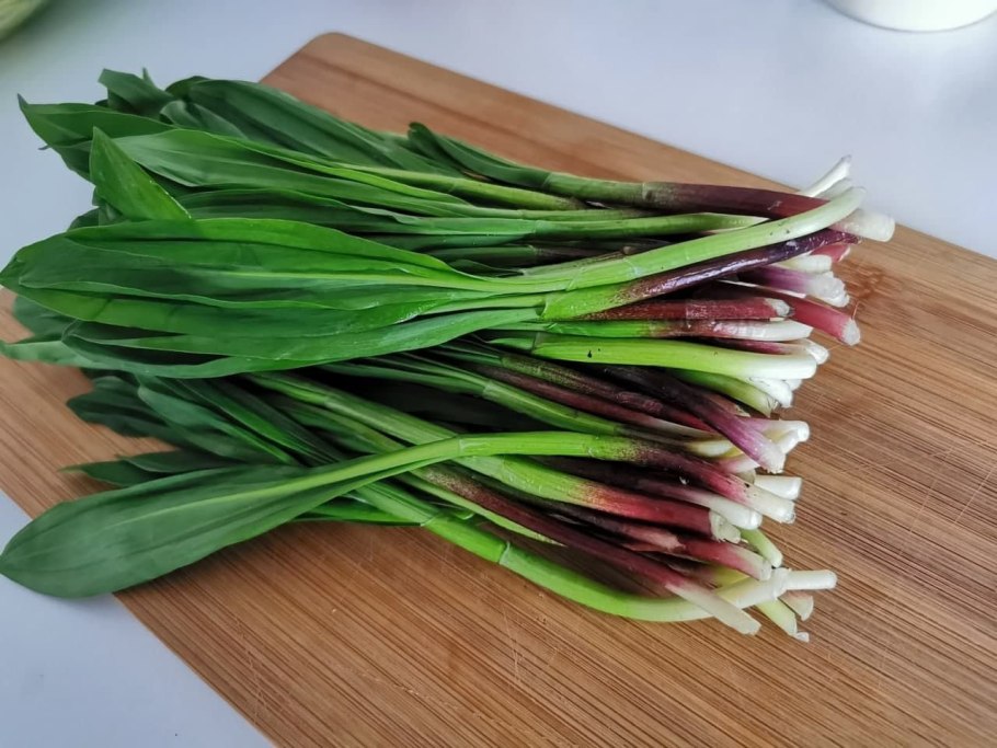 Отличие колбы от черемши