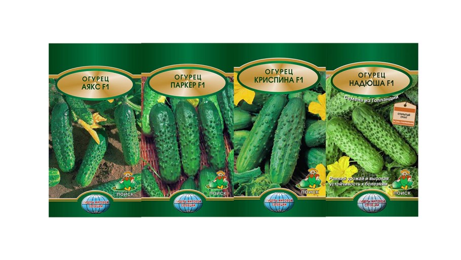 Огурец Паратунка f1 Семко