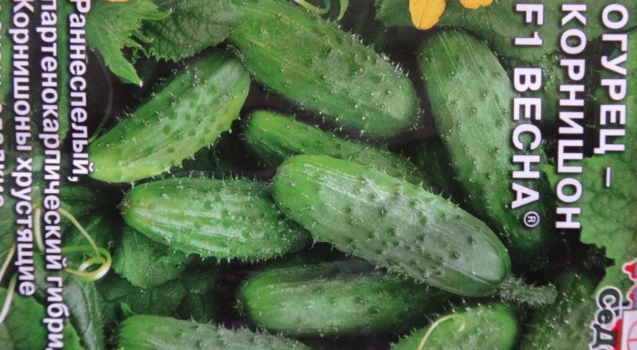 Огурец Кай f1
