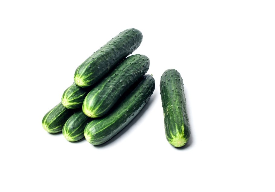 Огурец погребок f1