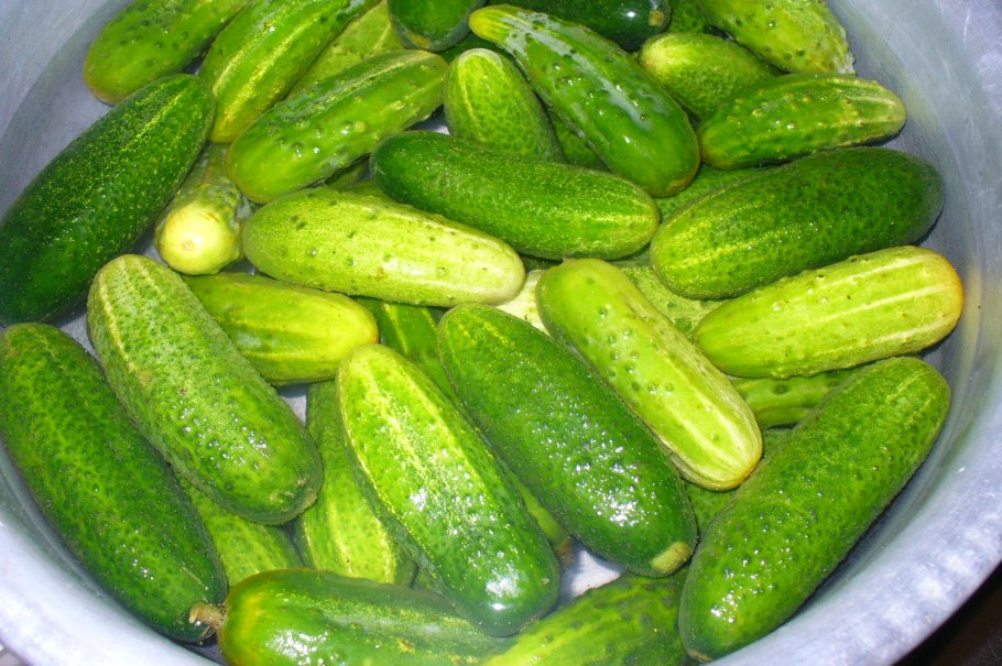 Стих про огурец