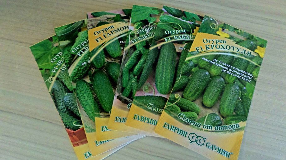 Семена огурец Салтан f1 Манул