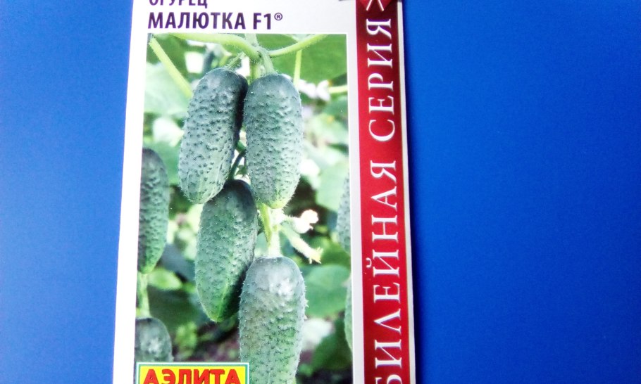 Огурец Малютка f1 ц/п Аэлита