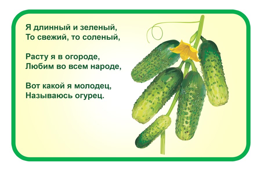 Виды огурцов больших