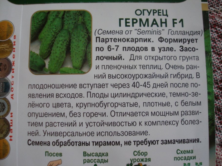 Огурец Чайковский f1