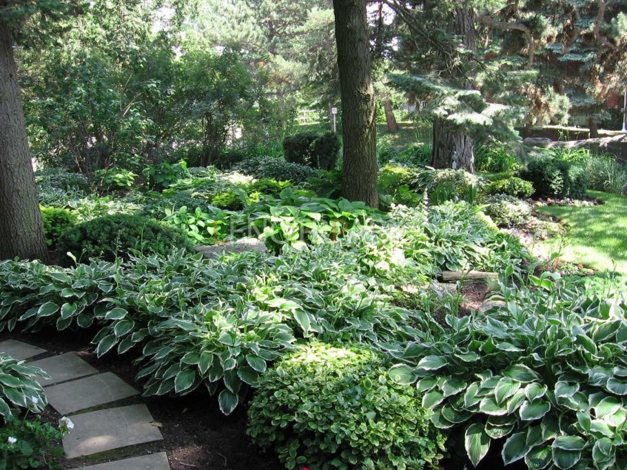 Сад Юрия Марковского