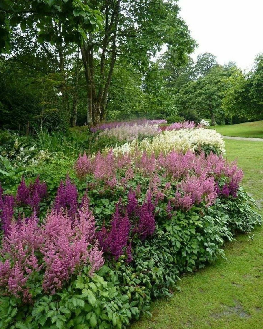 Вересковый миксбордер