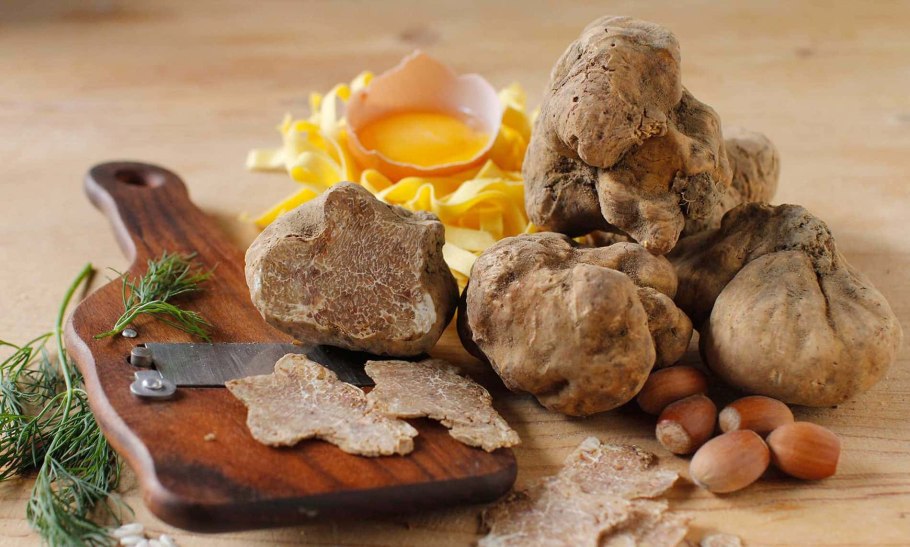 Перигорский трюфель