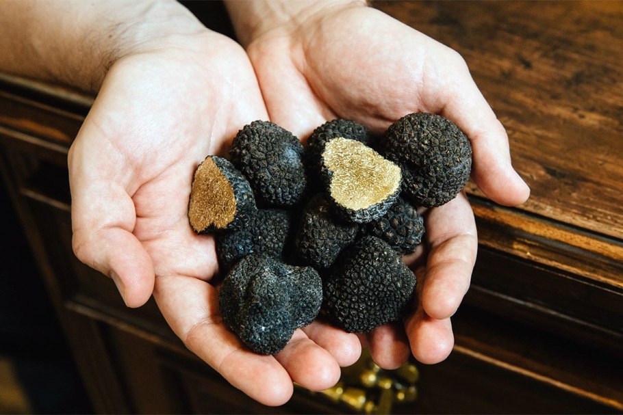 Черный перигорский трюфель