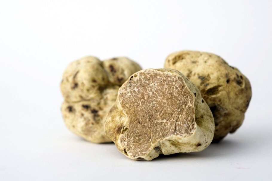 Крымский белый трюфель