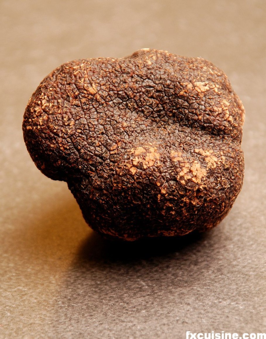 Трюфель (грибы)