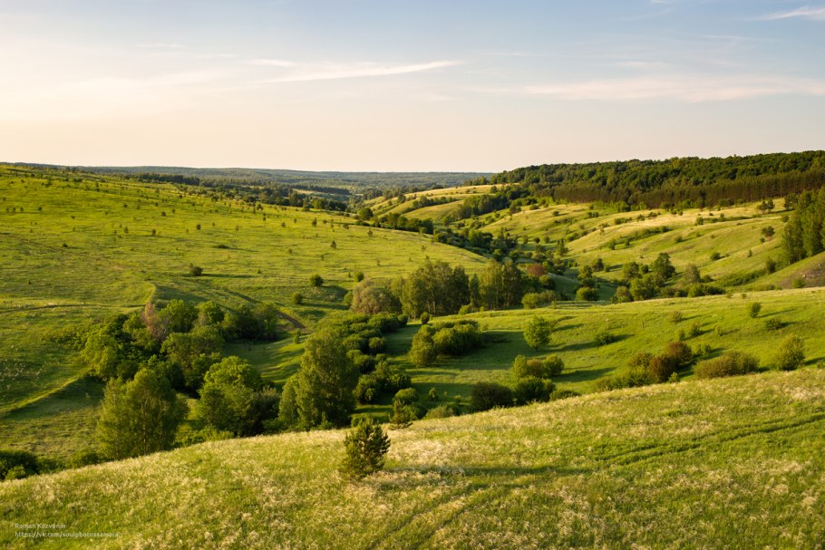 Степи и лесостепи России