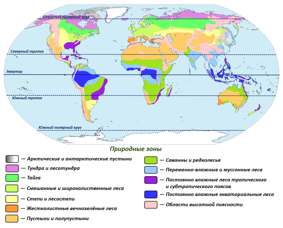 Пустыни и полупустыни умеренного пояса