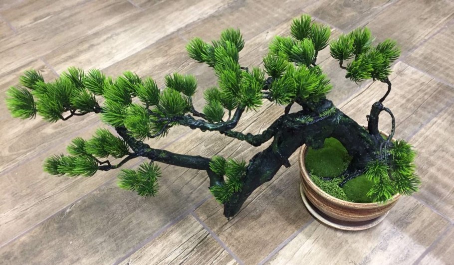 Бонсай 3 кита