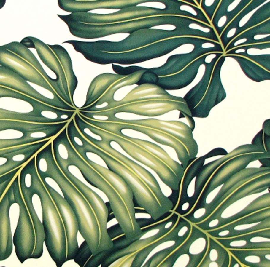 Тропические лист Monstera