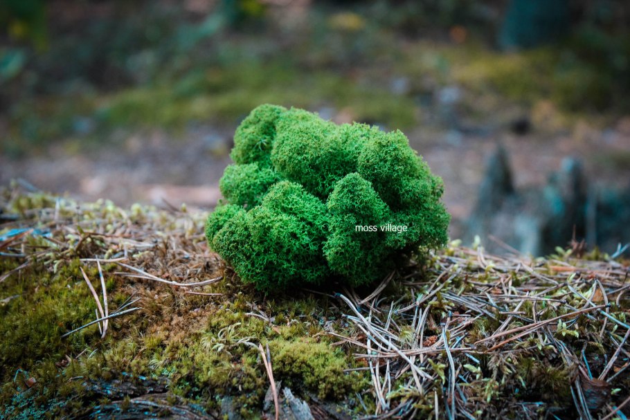 Хлеб с ягелем