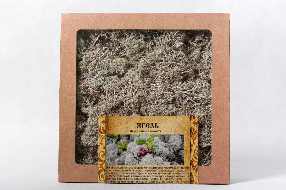 Плешаков зеленые страницы ягель