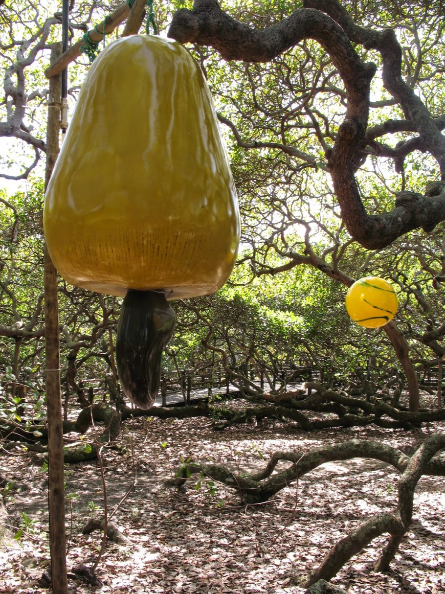 Кешью Пиранжи