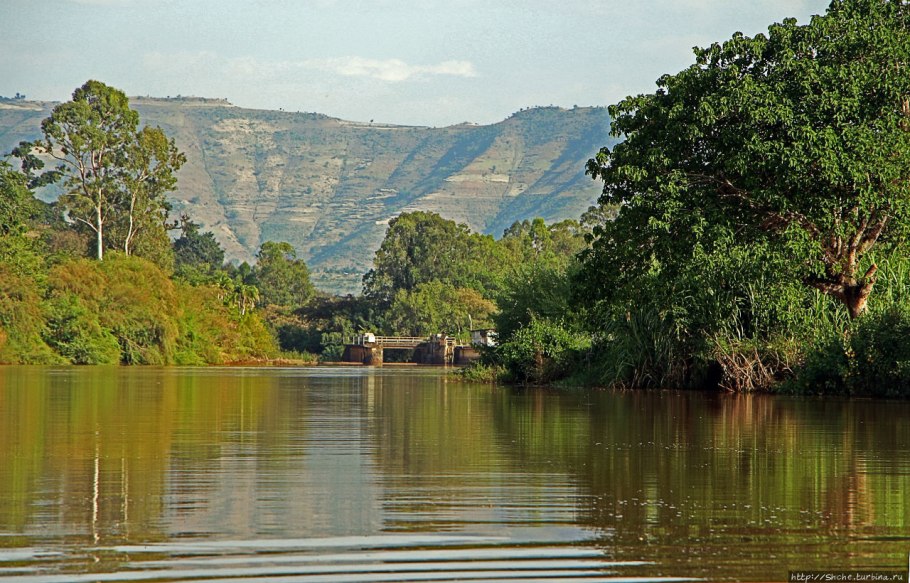 Белый Нил и голубой Нил