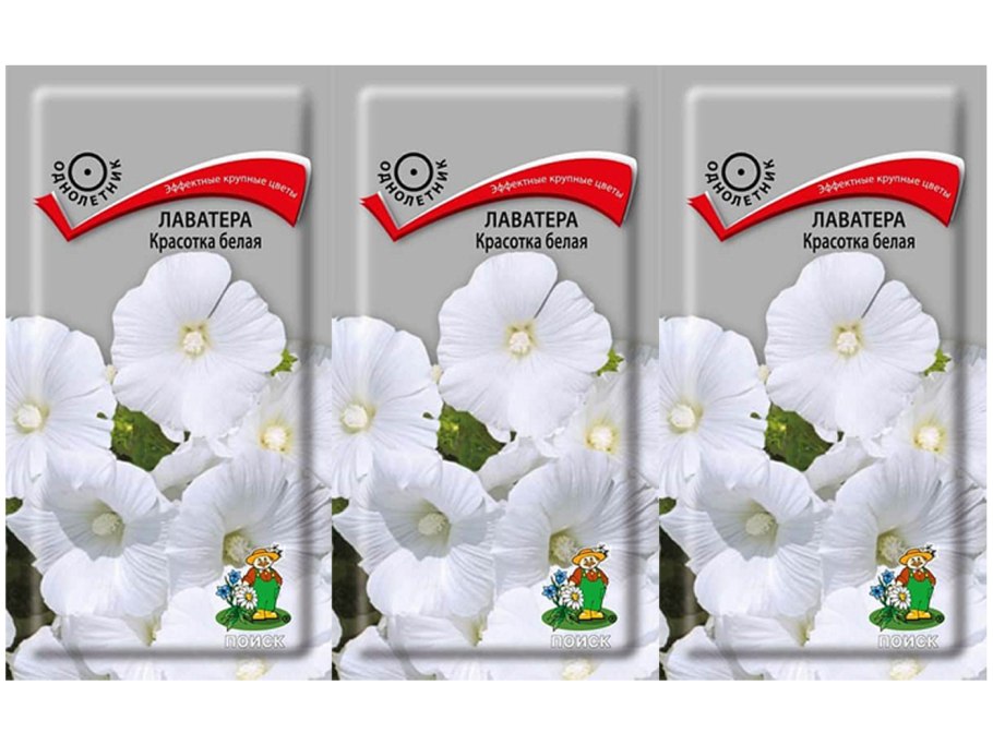 Мальва мускусная ( просвирник)