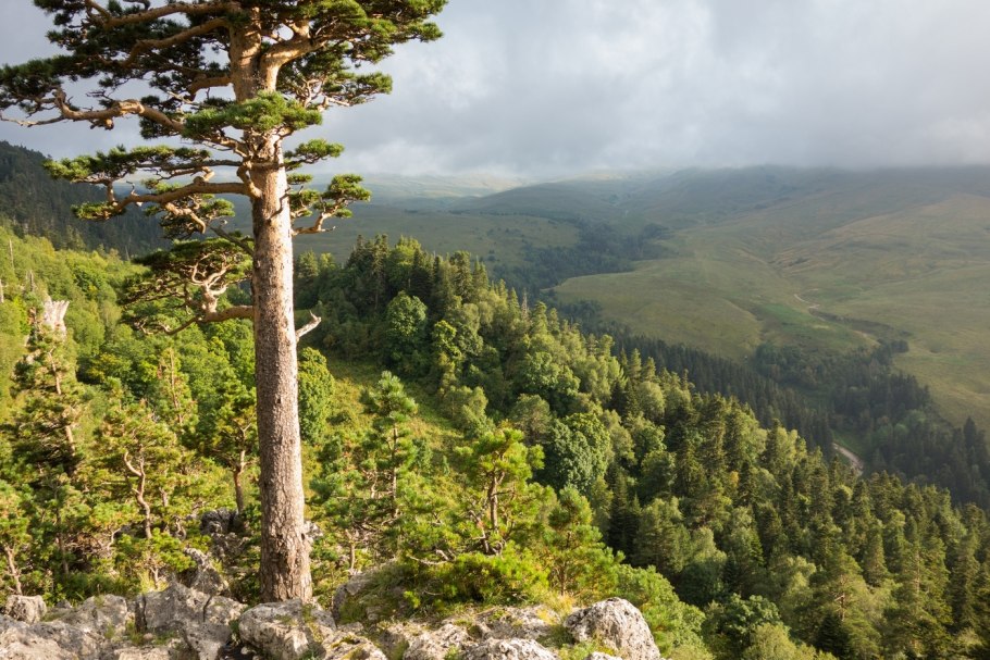 Адыгея плато лаго наки