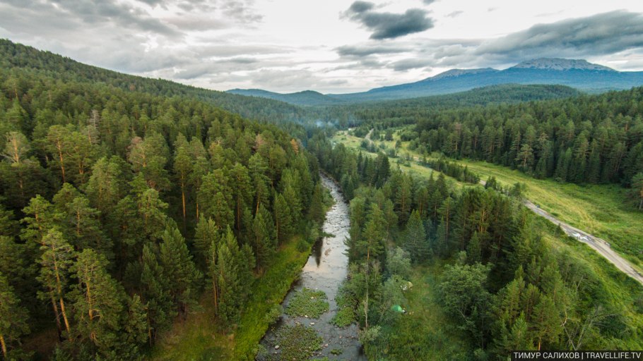 Деревья по высоте