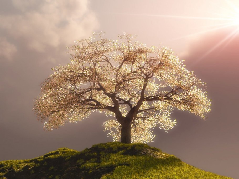 Додонский дуб