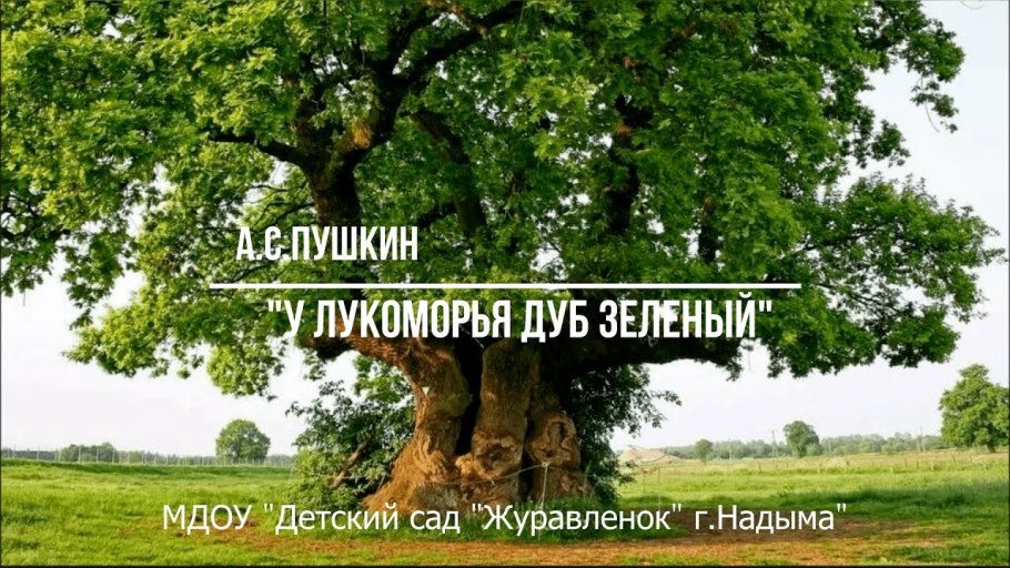 Кермесский дуб