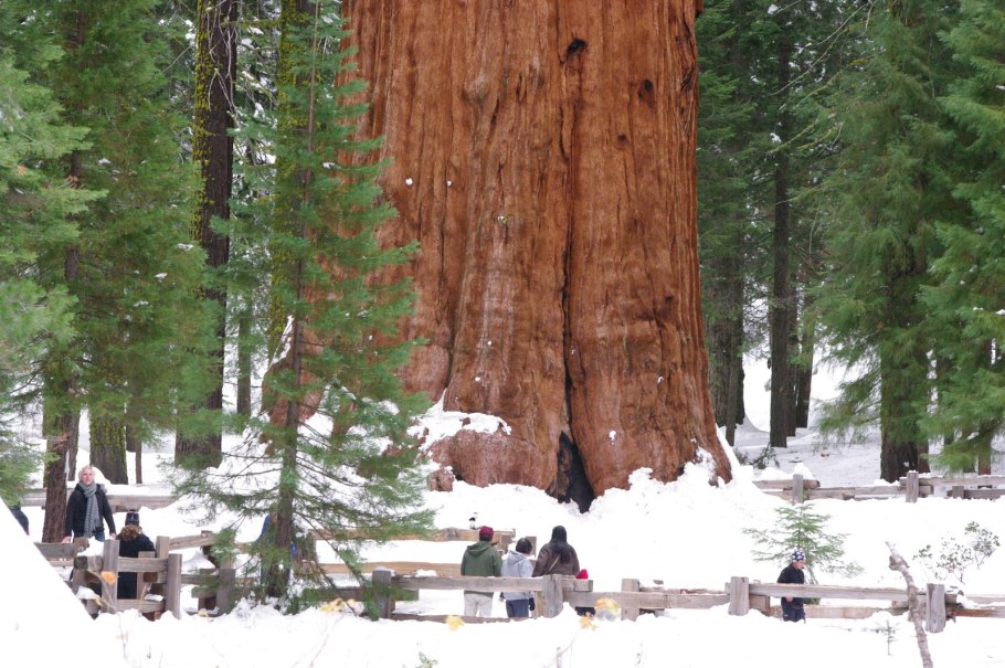 Национальный парк Секвойя (Sequoia), штат Калифорния