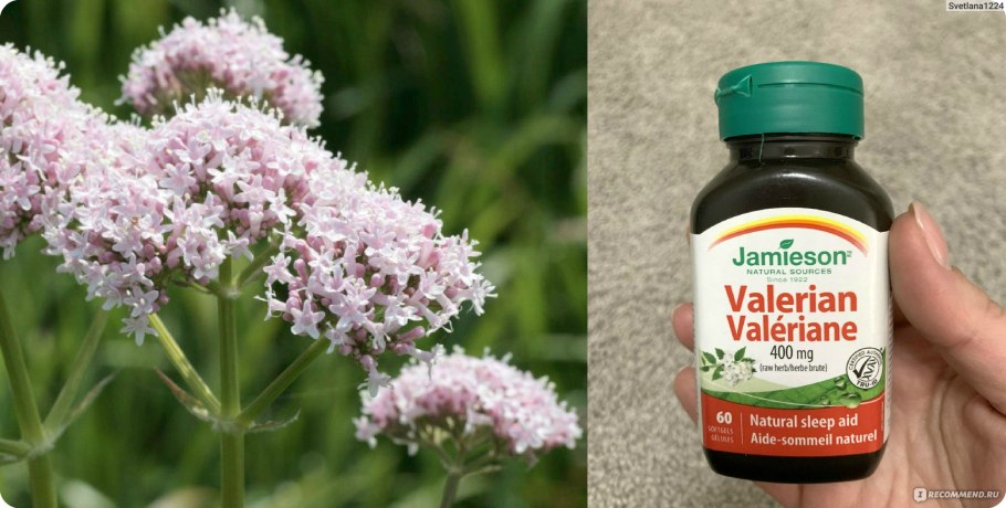 Валериана премиум