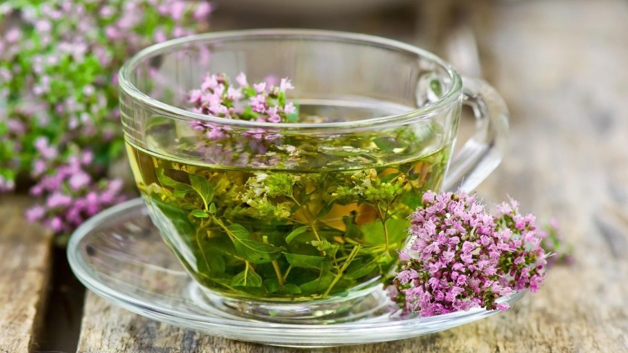 Гомеопатические препараты туя гранулы