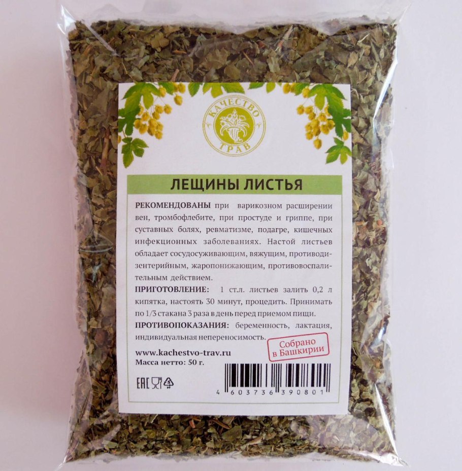 Лещина (Corylus avellana);