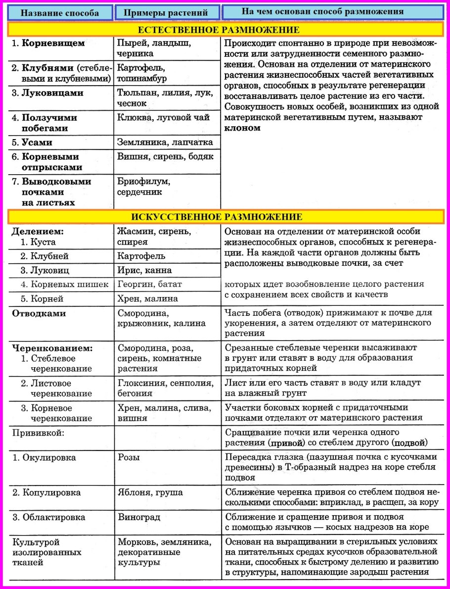 Способы вегетативного размножения растений схема