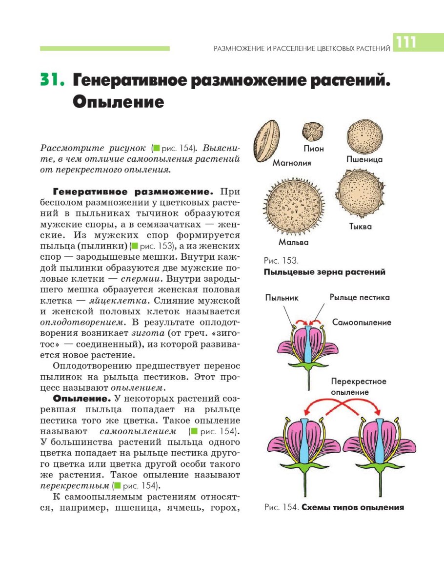 Генеративное размножение растений