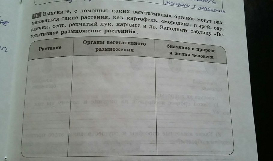 Репродуктивные органы цветкового растения