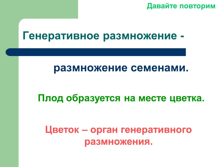 Цикл размножения Кукушкина льна