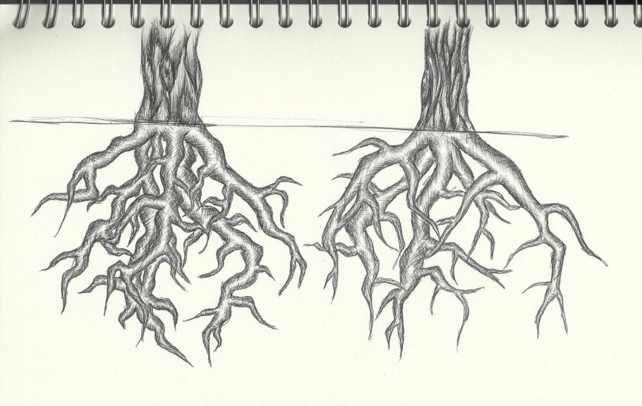 Строение гифов грибов