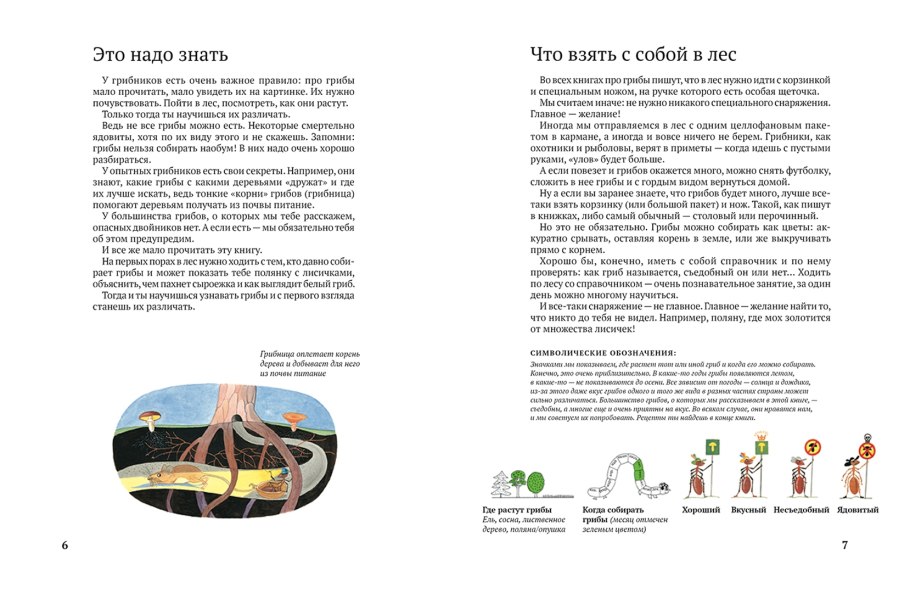 Задания про грибы про грибы