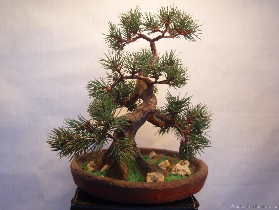 Бонсай дерево