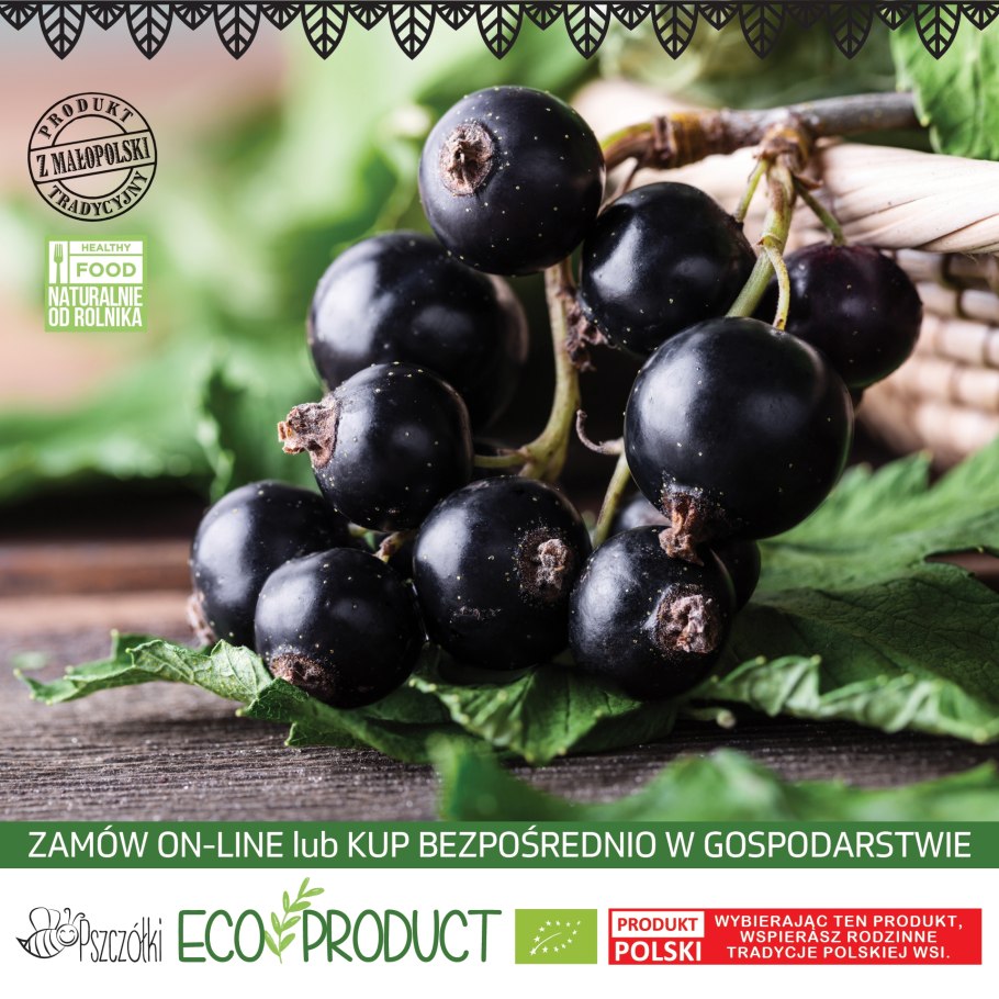 Смородина Бен Хоуп