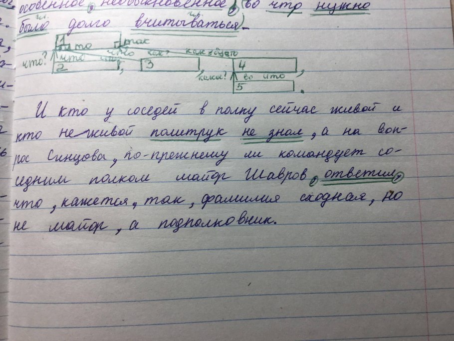 Тополь Симона фото