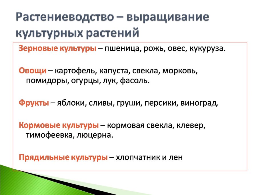 Растениеводство презентация