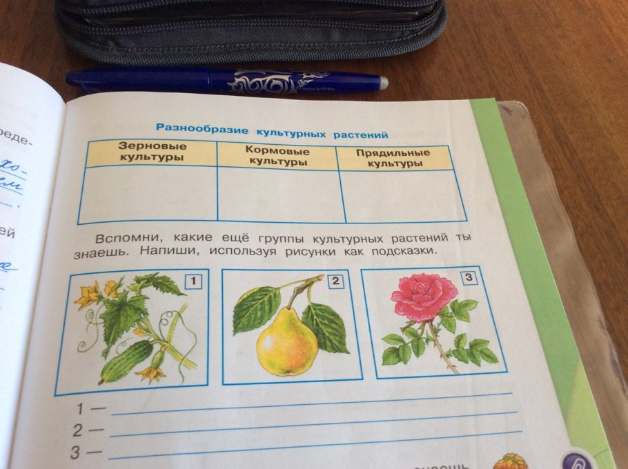 Группы культурных растений ты знаешь