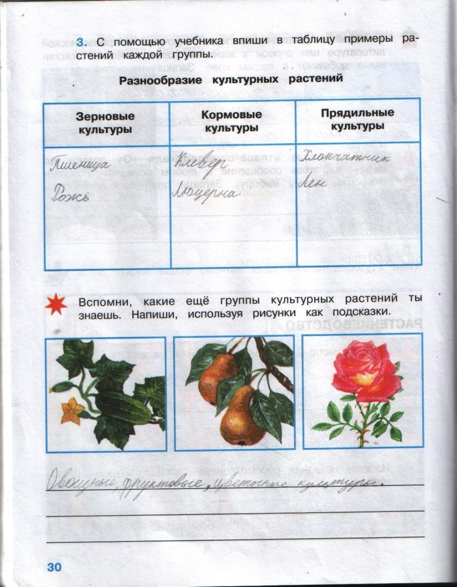 Окружающий мир 3 класс рабочая тетрадь 2 часть Плешаков ответы стр 30