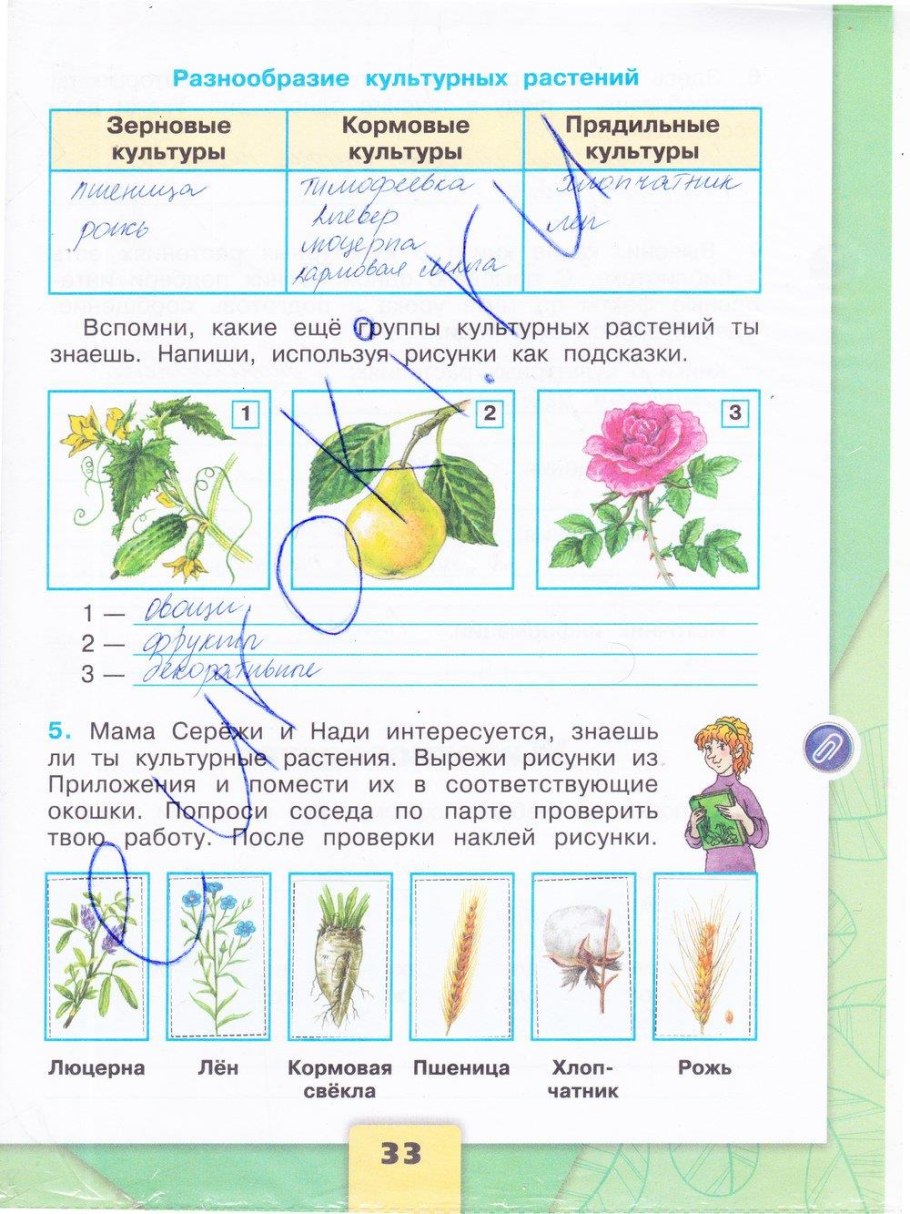 Окружающий мир 3 класс рабочая тетрадь 2 часть Плешаков стр 33