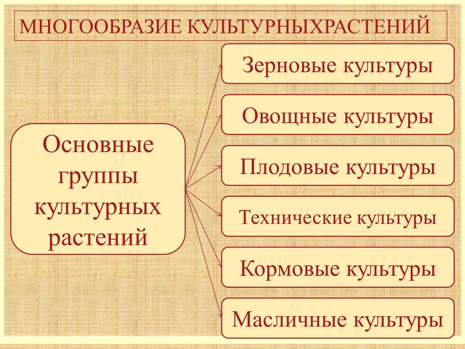 Основные группы культурных растений
